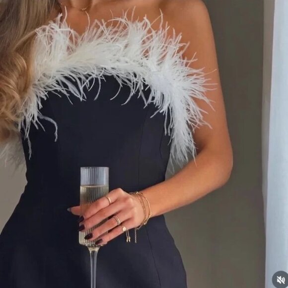 Zara Stretchy Feather Dress - Picture 11 of 14